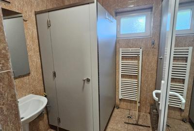 Proprietate speciala Dumbravita - casa individuala !! - 17