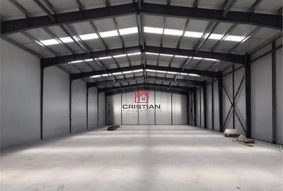 Depozit/hala/spatiu industrisl Jilava - Giurgiului - Progre - 7