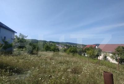 Teren de 2560 mp, în Centura - 3