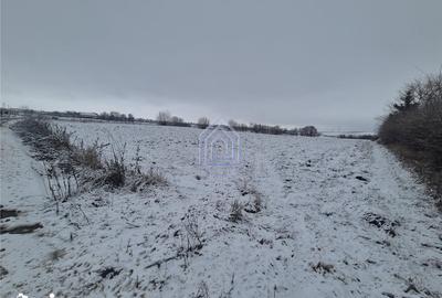 Teren de 5100 mp, în Moara - 2