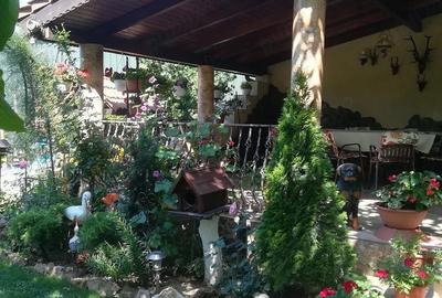 Casă cu Teren 1300 Mp în Lucian Blaga - 9