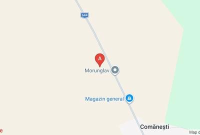 Teren Construcții intravilan de 10000 mp, în Morunglav - 1