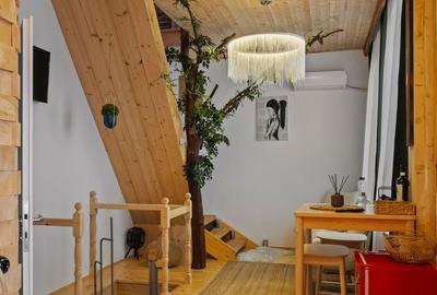 Casă individuală cu 2 camere cu Canalizare în Polonă - 7