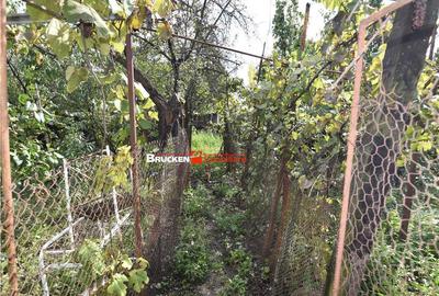 CASA IN ZONA GARII | MARGHITA - 11