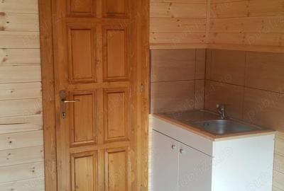 Casă cu 2 camere în Bradu - 4