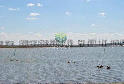 Teren agricol extravilan de 2270000 mp, în Ciocănești - 7