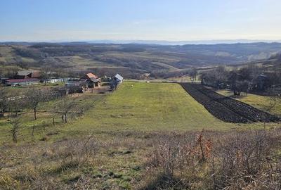 Teren de 5600 mp, în Tileagd - 1