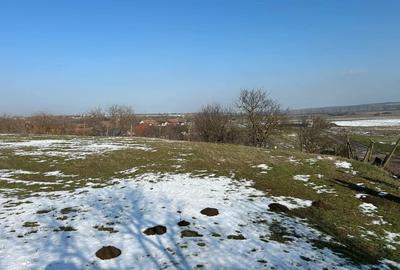 Teren de 1440 mp, în Murani - 2