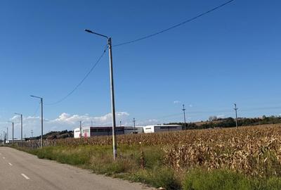 Teren Construcții de 5000 mp, în Brădești