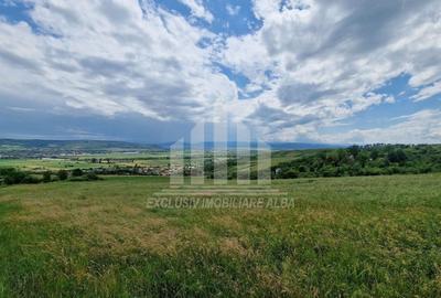 Teren agricol extravilan de 1400 mp, în Pâclișa - 8