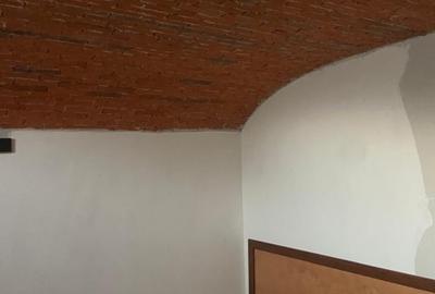 Casă individuală cu 5 camere cu Canalizare în Cetate - 19