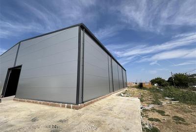 Spațiu industrial, de 600 mp, în Theodor Pallady