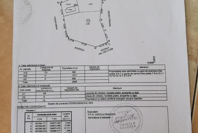 Casă cu 5 camere în Ceamurlia de Jos - 1