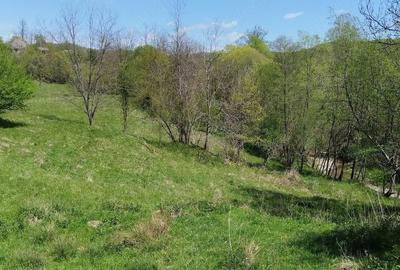 Teren de 7795 mp, în Opătești - 7