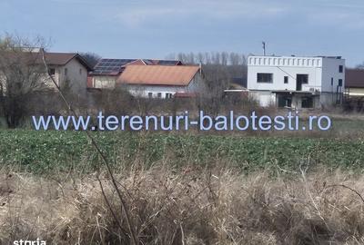 Spațiu comercial, în Balotești - 9