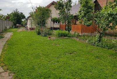 Casa spa?ioasa cu teren generos in Deta - 5