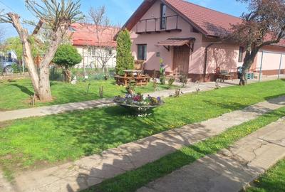 Casă cu 3 camere cu Teren 778 Mp în Central - 2