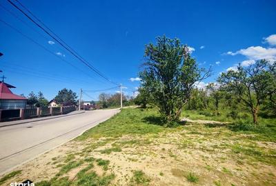 Spațiu comercial, în Central - 5
