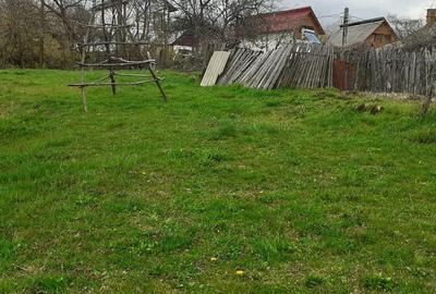 Casa de vanzare Cerbureni Arges - 11