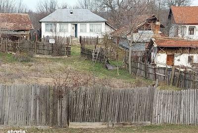 Casă cu 2 camere cu Teren 54 Mp în Central - 1