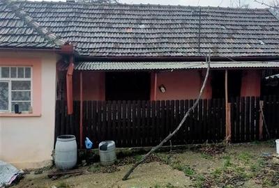 Reco Casa 3 camere si teren 2.600mp in Burzuc - 3