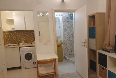 Garoniera - zona Primaverii - 5