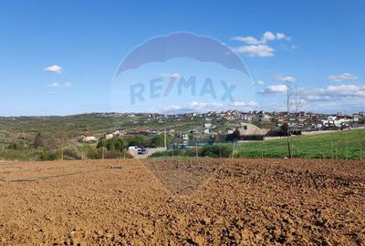 Teren Construcții intravilan de 1200 mp, în Săldăbagiu de Munte - 7