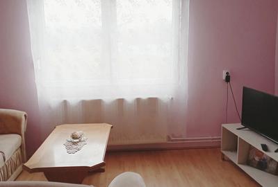 Casă cu 2 camere cu Teren 2500 Mp în Doclin - 4