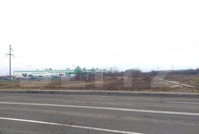 Teren intravilan 980 mp zona Leroy Merlin Teren intravilan 980 mp zona Leroy Merlin - 8