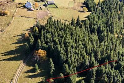 Spațiu comercial, în Mărișel - 6