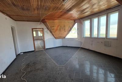 Spațiu comercial, de 400 mp, în Dupuș - 20