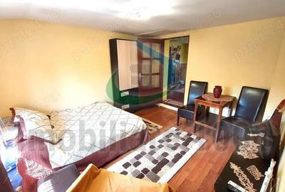 Curtuiusu Mare, casa 4 camere, suprafata utila 105 mp, teren 2431 mp - 16