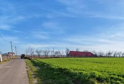 Comana intravilan, loturi 528mp, Delta, gaze, privat (credit/rate) - 5