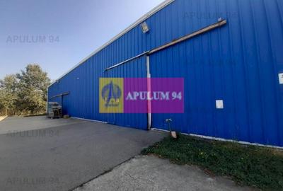 Spațiu industrial, de 4,850 mp, în 1 Decembrie - 14
