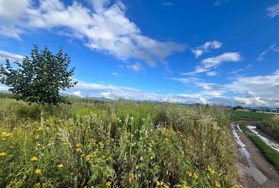 TEREN INTRAVILAN, 500 MP, HARMAN TEREN INTRAVILAN, 500 MP, HARMAN - 2