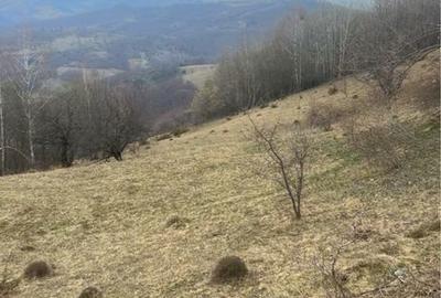 Teren de 3600 mp, în Exterior Vest - 9