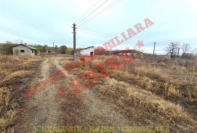 TEREN 21579 Mp. Curs Construc?ii + 4 Anexe La 35 Km Pite?ti - Buzoe?ti Stradal Ferma - 5