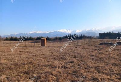 Teren intravilan 3000 mp de vanzare pe Valea Avrigului drum asfaltat - 10