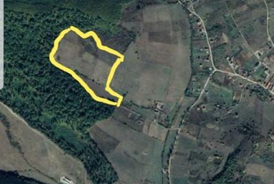 Spațiu comercial, în Sigmir - 2