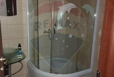Apartament cu 2 camere semidecomandat în Chiajna - 10