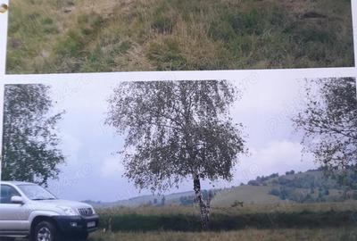 Teren de 17.000 mp situat in apropierea lacului Trei Ape, intr-o zona cu poten?ial turistic ridicat - 3