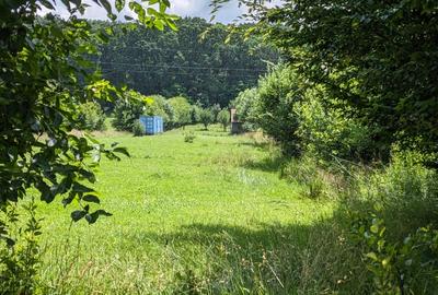 Teren Rasinari Co-proprietar teren 5000m - 2