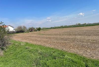 Teren Aeroport Clinceni - 7