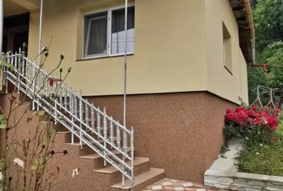 Casa de Vanzare la tara! - 3