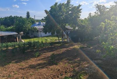 Casă cu 3 camere cu Teren 3000 Mp în Central - 2