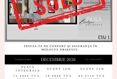 Theodor Pallady -Direct dezvoltator - 6