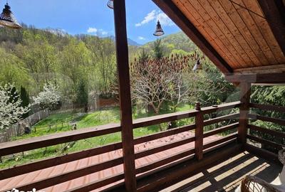 Casă cu 3 camere cu Teren 1300 Mp în Ocoliș - 12