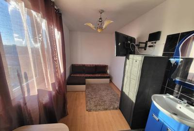 Camera de camin, zona Valea Rosie - 2