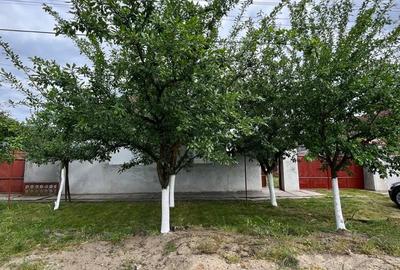 Casă cu 3 camere în Olari - 8