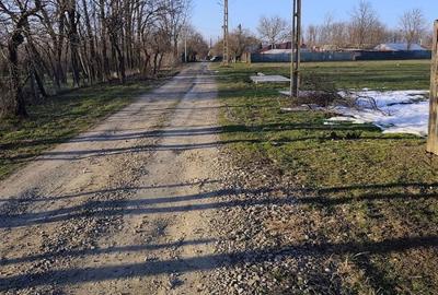 Teren de 1735 mp, în Bițina-Ungureni